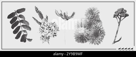 Trendige Collage mit Blumen. Wiesenblume, Blatt. Halbtonstippeleffekt Stock Vektor