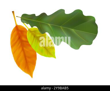 Herbstlaub Komposition. Vektorabbildung Stock Vektor