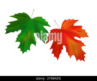Leuchtend orange und grüne, realistische Ahornblätter. Herbstfliegende Ahornblätter. Vektorabbildung Stock Vektor