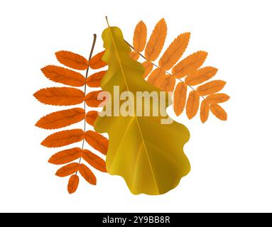 Die Zusammensetzung realistischer Herbstblätter von ebereschen und Eichen. Gelbe, braune, orange fliegende Blätter. Vektorabbildung Stock Vektor