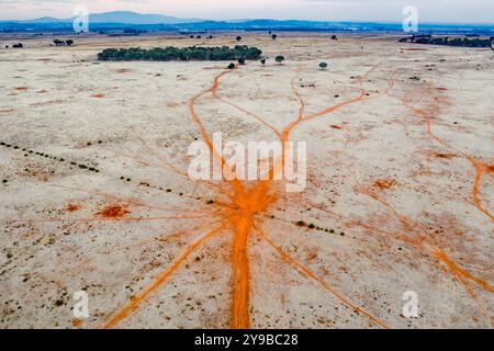 Aus der Vogelperspektive sehen Sie unbefestigte Wege auf trockenem Land, die durch ein Tor in einem Farmzaun in Moolort in Central Victoria, Australien, zusammenlaufen Stockfoto