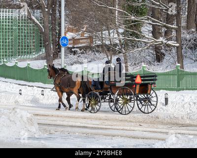 Stockholm, Schweden - 9. März 2023: Eine Pferdekutsche fährt an einem verschneiten Tag auf einer Touristeninsel im Zentrum Stockholms auf einer freigelegten Straße Stockfoto