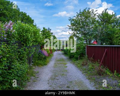 Södertälje, Schweden - 9. Juni 2022: Ein beschaulicher Kiesweg schlängelt sich durch eine üppige Gartensiedlung, umgeben von lebhaftem Grün Stockfoto