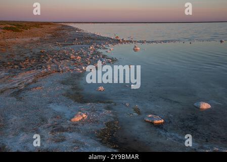 Ein Sommerabend am Lake Elton. Wolgograd, Russland Stockfoto