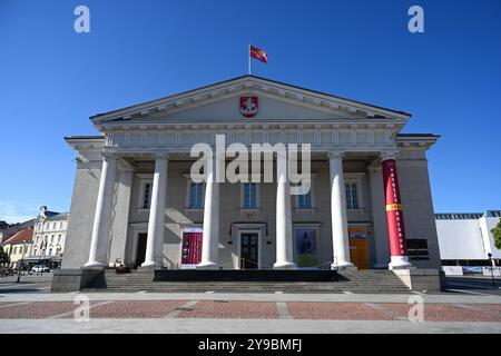 Vilnius, Litauen - 22. Juli 2024: Das Rathaus von Vilnius (Wilniaus rotuse) ist ein historisches Rathaus auf dem gleichnamigen Platz in der Altstadt von VI Stockfoto