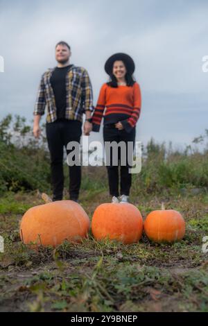 Ein paar, das Hände auf einem Feld mit Kürbissen hält Stockfoto