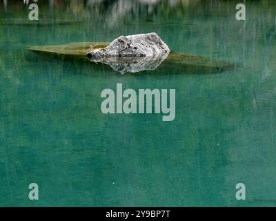 Stein, der aus dem smaragdgrünen Bergsee des Lac Vert in Passy in der Nähe des Mont Blanc-Massivs auftaucht. Kristallklares Wasser und Felsen, Zen wie Foto Stockfoto