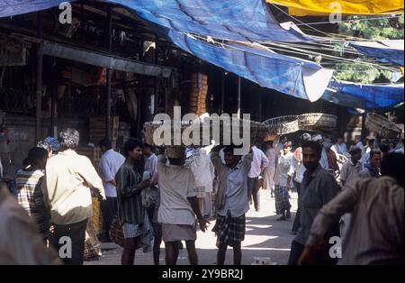 Indien, Mumbai (Bombay), Mahatma Phule Market (Crawford Market), auf dem Vorplatz am frühen Morgen. Stockfoto