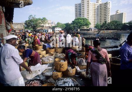 Indien, Mumbai, Bombay, Sassoon Docks und der Fischmarkt am frühen Morgen, einer der farbenprächtigsten Märkte in Mumbai. Stockfoto