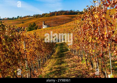 BAROLO, ITALIEN – 21. OKTOBER 2022: Die berühmten Weinberge von Barolo erstrecken sich über sanfte Hügel und produzieren einige der besten Weine Italiens. Stockfoto