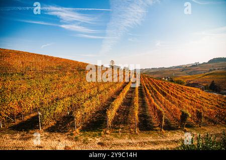 BAROLO, ITALIEN – 21. OKTOBER 2022: Die berühmten Weinberge von Barolo erstrecken sich über sanfte Hügel und produzieren einige der besten Weine Italiens. Stockfoto