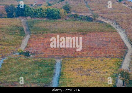 BAROLO, ITALIEN – 21. OKTOBER 2022: Die berühmten Weinberge von Barolo erstrecken sich über sanfte Hügel und produzieren einige der besten Weine Italiens. Stockfoto