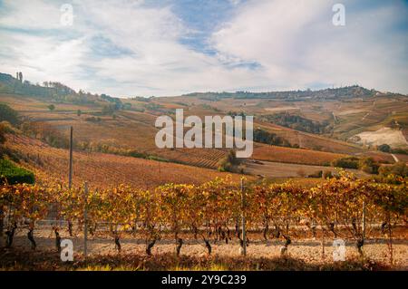 BAROLO, ITALIEN – 21. OKTOBER 2022: Die berühmten Weinberge von Barolo erstrecken sich über sanfte Hügel und produzieren einige der besten Weine Italiens. Stockfoto