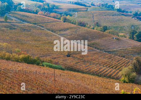 BAROLO, ITALIEN – 21. OKTOBER 2022: Die berühmten Weinberge von Barolo erstrecken sich über sanfte Hügel und produzieren einige der besten Weine Italiens. Stockfoto