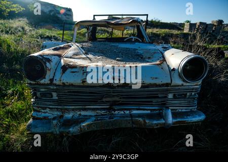Der alte weiße Pickup-Truck wurde in der Natur verlassen Stockfoto