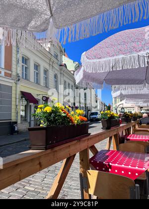 Farbenfrohe Sonnenschirme und helle Blumen schaffen eine gemütliche Straßencafé-Atmosphäre in der bezaubernden Altstadt von Tallinn Stockfoto