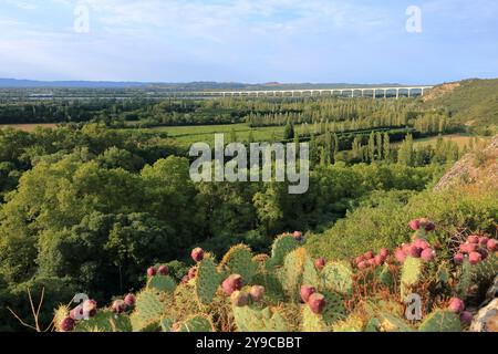 Die lange Brücke Viaduc Double Ferroviaire über die Rhone für TGV-Züge in der Nähe von Avignon in der Provence, Frankreich Stockfoto