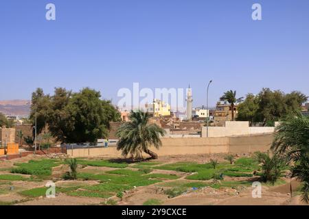 Aqaba in Jordanien - 17. Mai 2024: Straßenblick von Aqaba am Tag Stockfoto