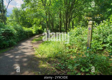 Banchory, Royal Deeside. Blick nach Westen in Richtung Banchory Village. Walker auf dem Deeside Way Pfad, Wegweiser, Wegmarkierung, Aberdeenshire, Highland Regi Stockfoto