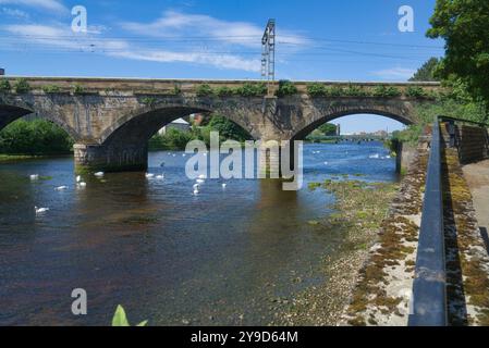 Das Foto zeigt den Fluss Ayr, der durch die Stadt Ayr fließt. Schöner klarer, sonniger Tag. Mit Blick nach Westen zur Station Road Railway Bridge und vielen Schwänen auf der Stockfoto