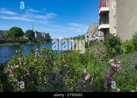 Das Foto zeigt den Fluss Ayr, der durch die Stadt Ayr fließt. Schöner klarer, sonniger Tag. Blick nach Westen von der Bahnhofsbrücke in Richtung Auld Brig. Stockfoto