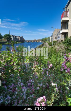 Das Foto zeigt den Fluss Ayr, der durch die Stadt Ayr fließt. Schöner klarer, sonniger Tag. Blick nach Westen von der Bahnhofsbrücke in Richtung Auld Brig. Stockfoto