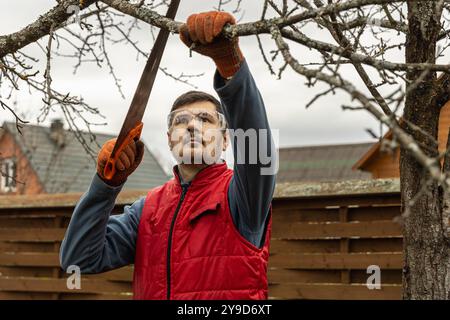 Baumschnitt in einem Herbstgarten. Nahaufnahme der Hände mit einer Säge, die alte Äste schneidet. Stockfoto