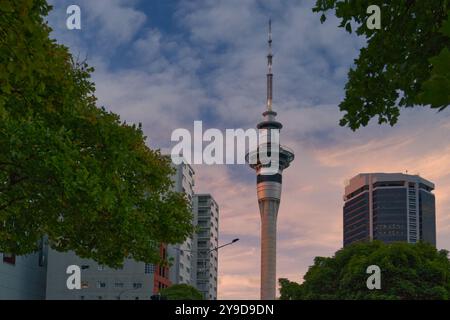 Auckland, Nordinsel, Neuseeland - Sky Tower bei Sonnenuntergang. Umgeben von hohen Apartmentblöcken, ist es ein Telekommunikations- und Aussichtsturm Stockfoto