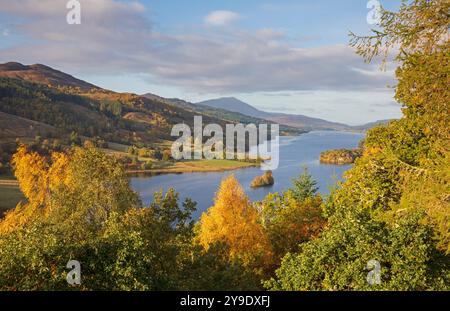 Queens View und Loch Tummel, Perthshire, Schottland, Großbritannien. 10. Oktober 2024. Herbstfarben zeigen sich früh an den Laubbäumen im Süden/Zentral-Schottlands. Im Bild: Leuchtende Farbe der Birken- und Nadelbäume mit dem Schiehallion-Berg im Hintergrund. Temperatur: Der Tag begann mit einem Anstieg von 2 Grad Celsius auf 9 Grad am frühen Nachmittag. Quelle: Archwhite/Alamy Live News. Stockfoto