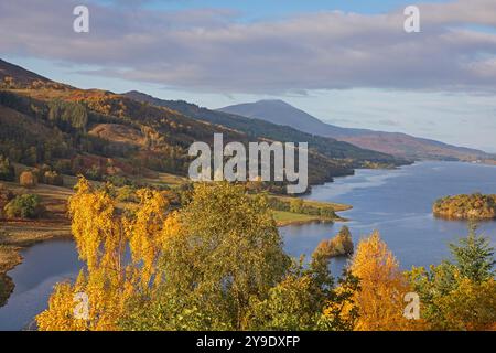 Queens View und Loch Tummel, Perthshire, Schottland, Großbritannien. 10. Oktober 2024. Herbstfarben zeigen sich früh an den Laubbäumen im Süden/Zentral-Schottlands. Im Bild: Leuchtende Farbe der Birken- und Nadelbäume mit dem Schiehallion-Berg im Hintergrund. Temperatur: Der Tag begann mit einem Anstieg von 2 Grad Celsius auf 9 Grad am frühen Nachmittag. Quelle: Archwhite/Alamy Live News. Stockfoto