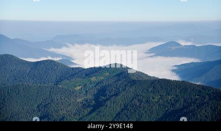 Riesige Berglandschaft unter klarem blauen Himmel. Schichten von bewaldeten Hügeln und Gipfeln ziehen sich in die Ferne, mit Tälern voller Wolken. Üppiges Grün von Bäumen steht im Kontrast zu weichen weißen Wolken. Stockfoto