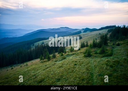 Aus der Vogelperspektive die ruhige Dämmerungsszene über sanfte Hügel und üppige Wälder. Sanfte Blau- und Rosa-Töne des Himmels fügen sich nahtlos in eine ruhige Landschaft ein und schaffen einen friedlichen und malerischen Blick auf die Natur. Stockfoto