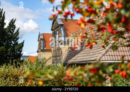 Impressionen aus Blankenburg im Harz Stockfoto