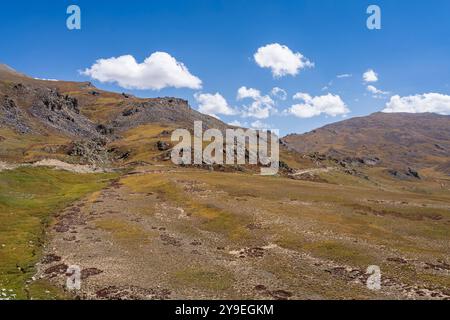 Farbenfrohe Sommerlandschaft mit Blick auf den Deosai Plains Nationalpark in der Höhe, Astore, Gilgit-Baltistan, Pakistan Stockfoto