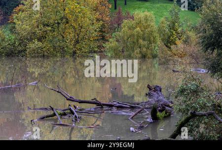 Mailand, Italien. Oktober 2024. IL Fiume Lambro esonda all'interno del Parco Lambro all'altezza di Via Feltre - Milano, Italia - Giovedì, 10 Ottobre 2024 (Foto Stefano Porta/LaPresse) der Fluss Lambro überfließt im Lambro Park in der Via Feltre - Mailand, Italien - Donnerstag, 10. Oktober 2024 (Foto Stefano Porta/LaPresse) Credit: LaPresse/Alamy Live News Stockfoto