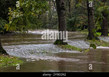 Mailand, Italien. Oktober 2024. IL Fiume Lambro esonda all'interno del Parco Lambro all'altezza di Via Feltre - Milano, Italia - Giovedì, 10 Ottobre 2024 (Foto Stefano Porta/LaPresse) der Fluss Lambro überfließt im Lambro Park in der Via Feltre - Mailand, Italien - Donnerstag, 10. Oktober 2024 (Foto Stefano Porta/LaPresse) Credit: LaPresse/Alamy Live News Stockfoto