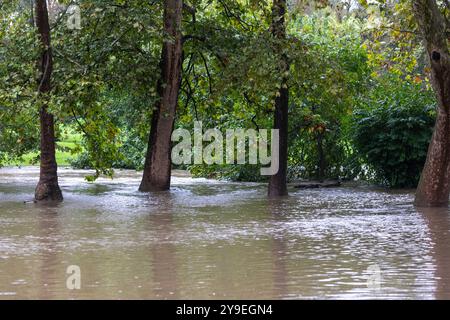 Mailand, Italien. Oktober 2024. IL Fiume Lambro esonda all'interno del Parco Lambro all'altezza di Via Feltre - Milano, Italia - Giovedì, 10 Ottobre 2024 (Foto Stefano Porta/LaPresse) der Fluss Lambro überfließt im Lambro Park in der Via Feltre - Mailand, Italien - Donnerstag, 10. Oktober 2024 (Foto Stefano Porta/LaPresse) Credit: LaPresse/Alamy Live News Stockfoto