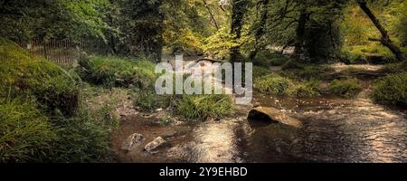 Golitha Falls. Ein Panoramablick auf den Fluss Fowey, der durch den alten Wald von Draynes Wood auf Bodmin Moor in Cornwall in Großbritannien fließt. Stockfoto