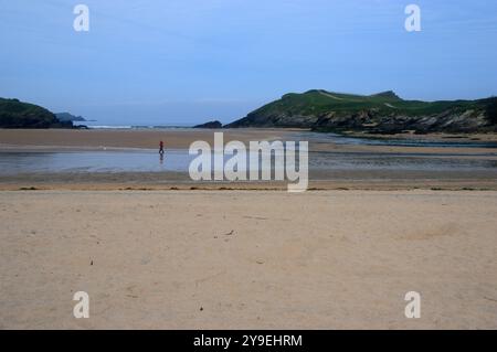 Man Walking Dog (Dog Walker) von Trevelgue Head am Porth Beach in der Nähe von Newquay am Southwest Coastal Path, North Cornwall, England, Großbritannien Stockfoto