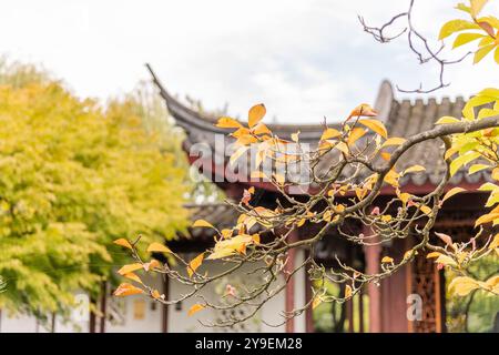 Vancouver, British Columbia, Kanada – 28. September 2024: Der Dr. Sun Yat-Sen Classical Chinese Garden in Vancouver, BC, Kanada. Stockfoto