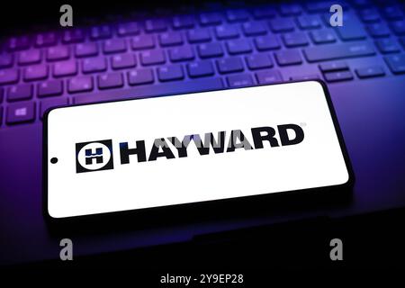 September 2024, Paraguay. In dieser Abbildung wird das Logo von Hayward Holdings, Inc. Auf einem Smartphone-Bildschirm angezeigt Stockfoto