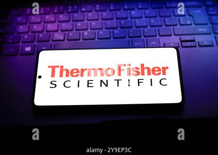 September 2024, Paraguay. In dieser Fotoabbildung wird das Thermo Fisher Scientific Logo auf einem Smartphone-Bildschirm angezeigt Stockfoto