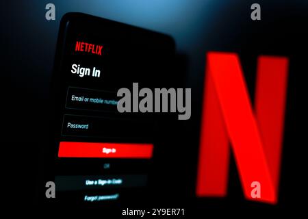 14. Juli 2024, Paraguay. In dieser Abbildung wird die Netflix-Anmeldeseite auf einem Smartphone-Bildschirm angezeigt. Stockfoto