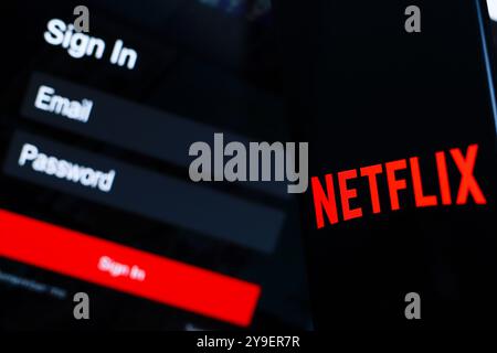 14. Juli 2024, Paraguay. In dieser Abbildung wird das Netflix-Logo auf einem Smartphone-Bildschirm neben einem Anmeldebildschirm mit E-Mail und Passwort angezeigt Stockfoto