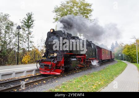 Eine Dampfeisenbahn auf der Harzer Schmalspurbahn Stockfoto