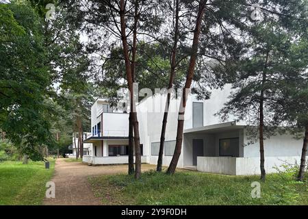 Bauhaus Dessau DEU, Deutschland, Dessau, Sachsen-Anhalt, 28.07.2024 Meisterhaus Haus Wohnhaus der Bauhausmeister in der Meisterhaussiedlung im Architekturstil der 1920er Jahre nach Entwuerfen von Walter Gropius in Dessau Sachsen-Anhalt Deutschland. Das Bauhaus Dessau war eine beruehmte Kunst-, Design- und Architekturschule der Klassischen Moderne von 1919 bis 1932. Die Siedlung der Meisterhäuser gehoert zu den wichtigsten Werken der modernen Architektur der Zwischenkriegszeit en: Meisterhaus Residenz der Bauhausmeister in der Meisterhaussiedlung in der Architektur Stockfoto