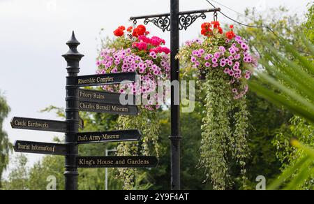 Blumen, hängende Körbe und Fußgängerschilder in Riverside, Thetford, Norfolk Stockfoto