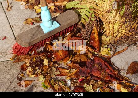 Herbst, Herbst. Gefallene, getrocknete, verwelkte Herbstblätter (Buchenblätter aus Kastanienbirke) werden im Garten mit dem Besen von den Fliesen weggefegt. Stockfoto