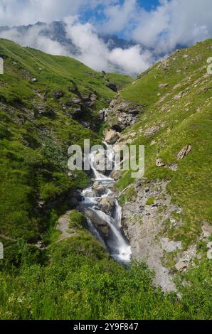 Ruscello di montagna sul Moncenisio che scorre in mezzo ad un prato sulle Alpi italiane e francesi Stockfoto