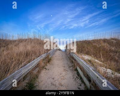 Mond Über Sand Dune Path, Outer Banks, North Carolina Stockfoto